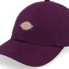 Dad Cap-Dickies Hardwick Plum Perfect Dad Cap - Purple