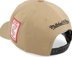 Adjustable-Mitchell & Ness Hatstore Exclusive x Detroit Red Wings Hockeytown Rust Adjustable -