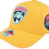 Hot Mitchell & Ness Hatstore Exclusive x Florida Panthers Plutonium /Pink Adjustable - Yellow