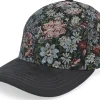Adjustable-Les Deux Jacquard Baseball Cap Rosin/Chive Green Adjustable -