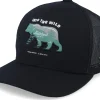 Online SQRTN Kids Bear Cap Black Trucker -