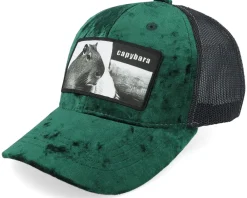 New Calza Pennello Kids Capybara Sofa Velvet /Black Trucker - Green