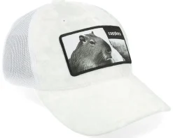 Best Calza Pennello Kids Capybara Sofa Velvet Trucker - White