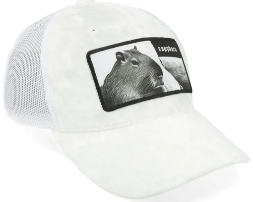 Best Calza Pennello Kids Capybara Sofa Velvet Trucker - White