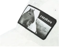 Best Calza Pennello Kids Capybara Sofa Velvet Trucker - White