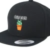 Best Kiddo Cap Kids Catcus Black snapback -