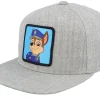 Kids-PAW Patrol Kids Chase Patch Heather Snapback - Grey
