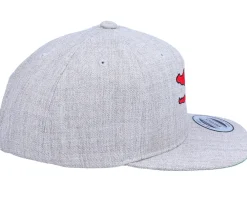 Hot Kiddo Cap Kids Cute Dino Heather Grey Snapback -