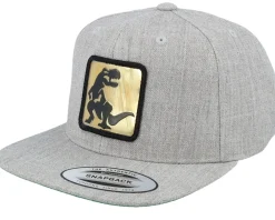 Snapback-Kiddo Cap Kids Dino Gold Patch Heather Grey Snapback -