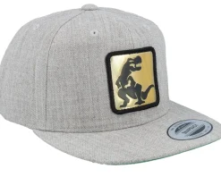 Snapback-Kiddo Cap Kids Dino Gold Patch Heather Grey Snapback -
