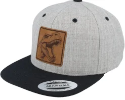 Clearance Kiddo Cap Kids Dinosaur T-rex Heather Grey/Black Snapback -