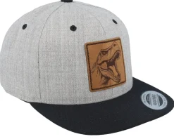 Clearance Kiddo Cap Kids Dinosaur T-rex Heather Grey/Black Snapback -