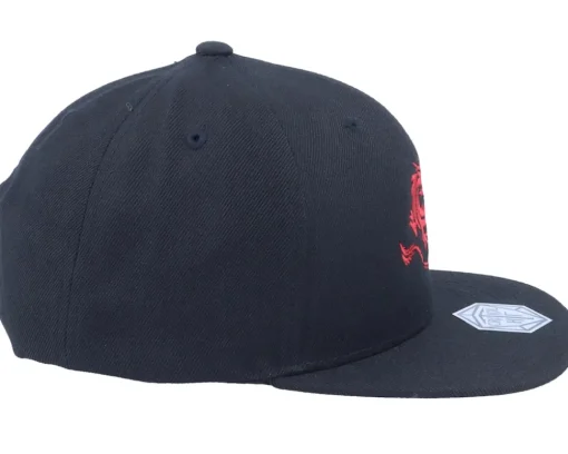 Kids-Critiql Hit Kids Flaming Fire Dragon Black Snapback -
