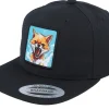 Kids-Kiddo Cap Kids Fox Action Patch Black Snapback -