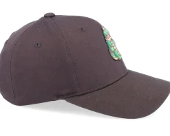 Kids-Kiddo Cap Kids Happy Crocodile Brown Flexfit -