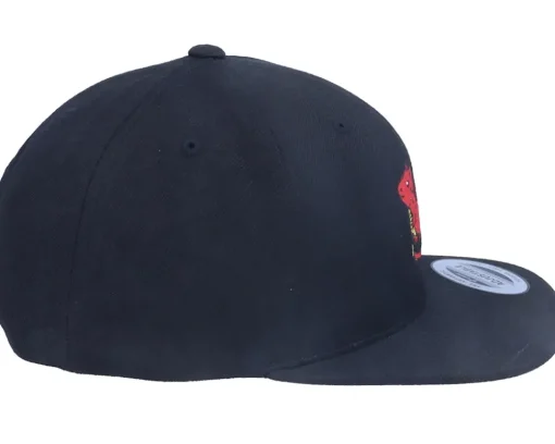 Hot Kiddo Cap Kids Kawai Dragon Black Snapback -
