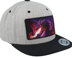 Kids-Kiddo Cap Kids Purple Dragongrey/Black Snapback -