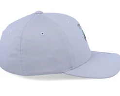 Fashion Kiddo Cap Kids Skiwi Silver Flexfit -