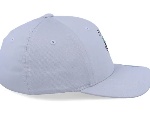 Fashion Kiddo Cap Kids Skiwi Silver Flexfit -