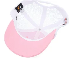 New PAW Patrol Kids Skye Patch Pink/White Trucker -