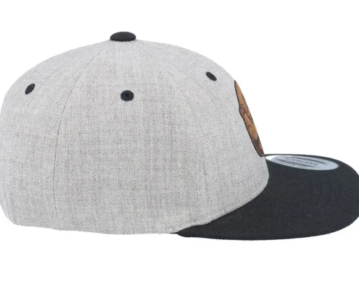 Snapback-Kiddo Cap Kids Stegosaurus Patch Heather Grey/Black Snapback -