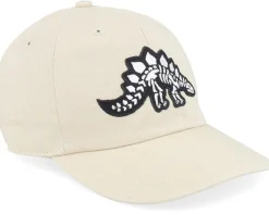 Dad Cap | Kids-Kiddo Cap Kids Stegosaurus Skeleton Patch Stone Dad Cap -