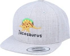 Snapback-Kiddo Cap Kids Tacosaurus Dino Heather Grey Snapback -
