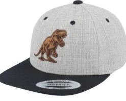 Kids-Kiddo Cap Kids T-rex Dino Brown Patch Heather Grey/Black Snapback -