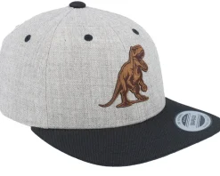 Kids-Kiddo Cap Kids T-rex Dino Brown Patch Heather Grey/Black Snapback -