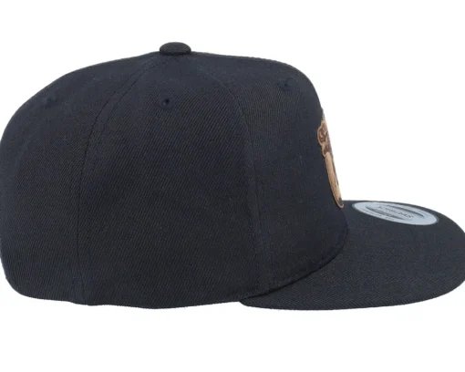 Snapback-Kiddo Cap Kids T-rex Dino Brown Round Patch Black Snapback -