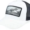 Velvet Caps-Calza Pennello Kids T-rex Dino Patch Velvet /Black Trucker - White