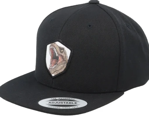 Sale Kiddo Cap Kids T-rex Dino Wooven Patch Black Snapback -
