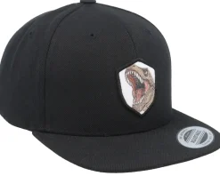 Sale Kiddo Cap Kids T-rex Dino Wooven Patch Black Snapback -