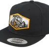Fashion Kiddo Cap Kids T-rex Orange Patch Black Snapback -