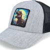 Online Kiddo Cap Kids T-rex With Sun Glasses Heather /Black - Grey