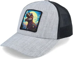 Online Kiddo Cap Kids T-rex With Sun Glasses Heather /Black - Grey