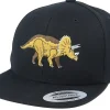 Snapback-Kiddo Cap Kids Triceratops Black Snapback -