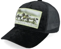 Discount Calza Pennello Kids Wild Horses Velvet Trucker - Black