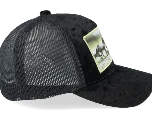 Discount Calza Pennello Kids Wild Horses Velvet Trucker - Black