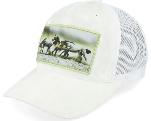 Discount Calza Pennello Kids Wild Horses Velvet Trucker - Black