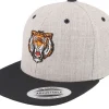 Kids-Kiddo Cap Kids Wild Tiger Heather Grey/Black Snapback -