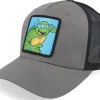 Trucker-TMNT Leonardo Box /Black A-Frame Trucker - Grey