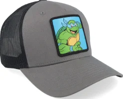 Trucker-TMNT Leonardo Box /Black A-Frame Trucker - Grey