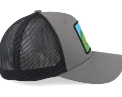 Trucker-TMNT Leonardo Box /Black A-Frame Trucker - Grey