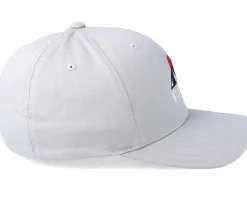 Flexfit-Wild Spirit Logo WS Silver Flexfit -