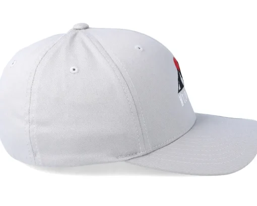Flexfit-Wild Spirit Logo WS Silver Flexfit -
