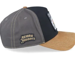 Trucker-Capslab Looney Tunes Bugs & Daffy Grey/Black/Brown A-Frame Trucker -