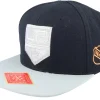 Snapback-American Needle Los Angeles Kings Silver Fox Black Snapback -