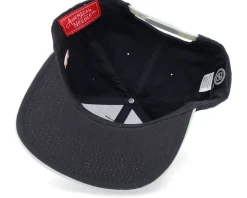 Snapback-American Needle Los Angeles Kings Silver Fox Black Snapback -