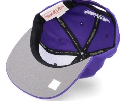Snapback-Mitchell & Ness Los Angeles Lakers Team Ground 2.0 Purple Snapback -